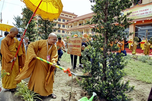 Hòa thượng Thích Thiện Nhơn- Chủ tịch Hội đồng trị sự Giáo hội Phật giáo Việt Nam trồng cây lưu niệm tại Học viện Phật giáo Việt Nam tại Thành phố Hồ Chí Minh. Ảnh: Thế Anh- TTXVN