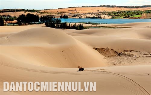 Trồng dừa trên vùng đất cát thuộc xã Hòa Thắng, huyện Bắc Bình Tỉnh Bình Thuận đã tận dụng tốt vị trí địa lý và khai thác triệt để lợi thế về địa hình cảnh quan, tài nguyên du lịch cát, gió, biển…. Ảnh: An Hiếu