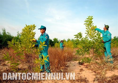 Cán bộ Ban quản lý rừng phòng hộ Lê Hồng Phong kiểm tra tỷ lệ sống sót các loại cây rừng được trồng tại khu vực xã Hòa Thắng, huyện Bắc Bình. Ảnh: An Hiếu Tuyên truyền, vận động người dân ở các huyện ven biển của tỉnh Bình Thuận cùng chung tay bảo vệ rừng. Ảnh: An Hiếu