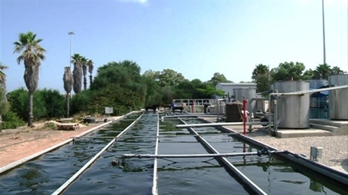 Cuộc cách mạng về nước và kinh nghiệm chống hạn của Israel ảnh 2