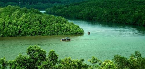 Bức tranh "Vẻ đẹp của rừng ngập mặn Cần Giờ" được trưng bày tại triển lãm. Ảnh: BTC.