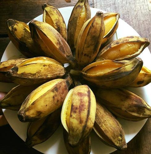 Dẻo, ngọt như chuối sáp Bến Tre ảnh 1