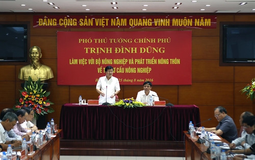 Phó Thủ tướng Trịnh Đình Dũng phát biểu tại buổi làm việc với Bộ Nông nghiệp và Phát triển nông thôn về tái cơ cấu nông nghiệp. Ảnh: Vũ Sinh – TTXVN Phó Thủ tướng Trịnh Đình Dũng phát biểu tại buổi làm việc với Bộ Nông nghiệp và Phát triển nông thôn về tái cơ cấu nông nghiệp. Ảnh: Vũ Sinh – TTXVN