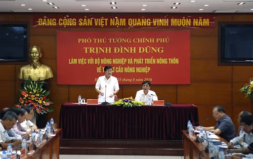 Phó Thủ tướng Trịnh Đình Dũng phát biểu tại buổi làm việc với Bộ Nông nghiệp và Phát triển nông thôn về tái cơ cấu nông nghiệp. Ảnh: Vũ Sinh – TTXVN