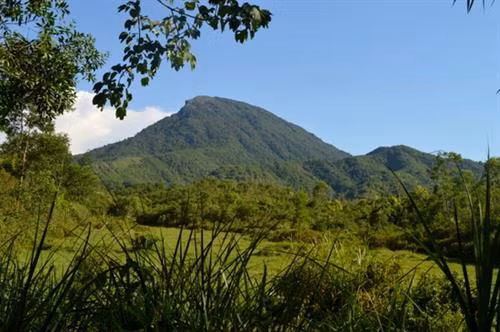 Hệ thống rừng vùng ven của Khu Di sản Mỹ Sơn. Ảnh:dangcongsan.vn