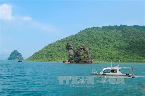 Vườn Quốc gia Bái Tử Long là Vườn Di sản thứ 38 của ASEAN ảnh 12