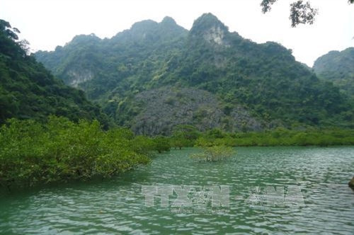 Vườn Quốc gia Bái Tử Long là Vườn Di sản thứ 38 của ASEAN ảnh 17