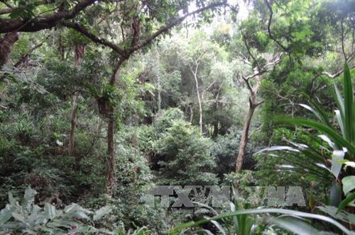 Vườn Quốc gia Bái Tử Long là Vườn Di sản thứ 38 của ASEAN ảnh 22