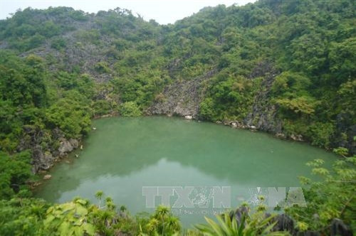 Vườn Quốc gia Bái Tử Long là Vườn Di sản thứ 38 của ASEAN ảnh 21