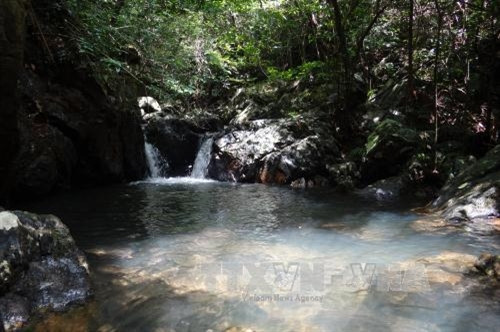 Vườn Quốc gia Bái Tử Long là Vườn Di sản thứ 38 của ASEAN ảnh 18