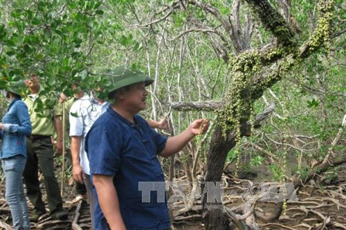 Vườn Quốc gia Bái Tử Long là Vườn Di sản thứ 38 của ASEAN ảnh 20