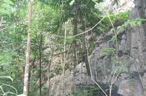 Vườn Quốc gia Bái Tử Long là Vườn Di sản thứ 38 của ASEAN ảnh 23