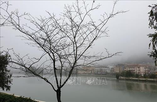 Thị trấn Sa Pa chìm trong sương mù và giá lạnh. Ảnh: Quốc Khánh – TTXVN