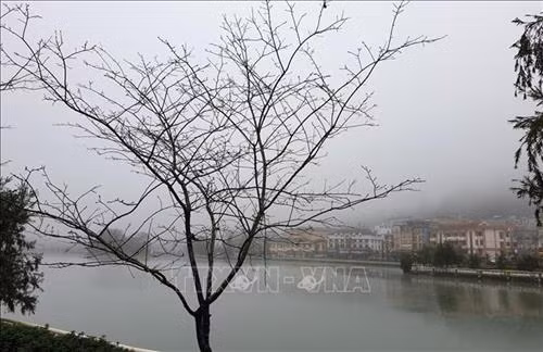 Thị trấn Sa Pa chìm trong sương mù và giá lạnh. Ảnh: Quốc Khánh – TTXVN Thị trấn Sa Pa chìm trong sương mù và giá lạnh. Ảnh: Quốc Khánh – TTXVN