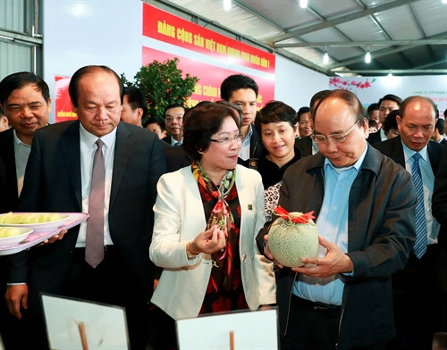 Thủ tướng Nguyễn Xuân Phúc nghe giới thiệu về sản phẩm của Công ty Cổ phần đầu tư và Phát triển nông nghiệp công nghệ cao tỉnh Hà Nam. Ảnh:Thống Nhất-TTXVN