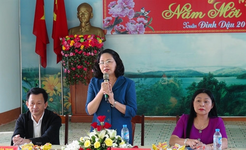 Phó Chủ tịch nước Đặng Thị Ngọc Thịnh phát biểu tại buổi làm việc với Trung tâm Bảo trợ xã hội tỉnh Gia Lai. Ảnh: Dư Toán - TTXVN