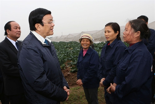 Chủ tịch nước Trương Tấn Sang thăm hỏi nông dân trồng rau sạch theo mô hình của Nhật Bản ở khu nông nghiệp chất lượng cao xã Nhân Khang, huyện Lý Nhân, tỉnh Hà Nam. Ảnh: Nguyễn Khang – TTXVN