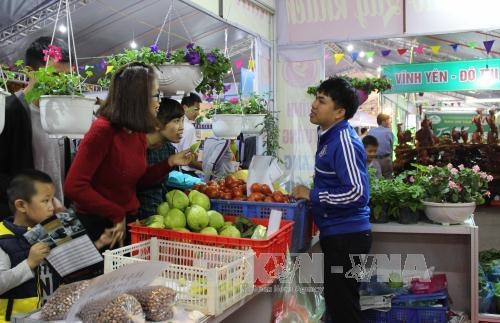 Nhiều sản phẩm nông nghiệp của Vĩnh Phúc trưng bày tại triển lãm và hội chợ. Ảnh: Nguyễn Thảo - TTXVN Nhiều sản phẩm nông nghiệp của Vĩnh Phúc trưng bày tại triển lãm và hội chợ. Ảnh: Nguyễn Thảo - TTXVN