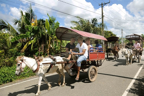 Du khách trải nghiệm đi xe ngựa Du khách trải nghiệm đi xe ngựa