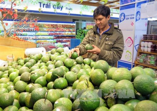 Gian hàng nông sản sạch ở siêu thị Co.opmart Tam Kỳ. Ảnh: Đỗ Trưởng- TTXVN Gian hàng nông sản sạch ở siêu thị Co.opmart Tam Kỳ. Ảnh: Đỗ Trưởng- TTXVN