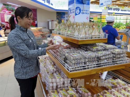 Sản phẩm trứng gà Văn Học ở siêu thị Co.opmart Tam Kỳ. Ảnh: Đỗ Trưởng- TTXVN Sản phẩm trứng gà Văn Học ở siêu thị Co.opmart Tam Kỳ. Ảnh: Đỗ Trưởng- TTXVN