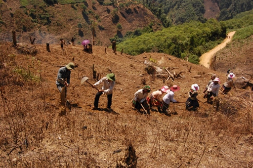 Tranh thủ viện trợ để phát triển vùng dân tộc ảnh 2