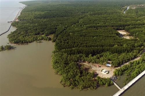 Đây là khu Ramsar (khu đất ngập nước quan trọng trong bản đồ đa dạng sinh học của thế giới) thứ 5 của Việt Nam Đây là khu Ramsar (khu đất ngập nước quan trọng trong bản đồ đa dạng sinh học của thế giới) thứ 5 của Việt Nam