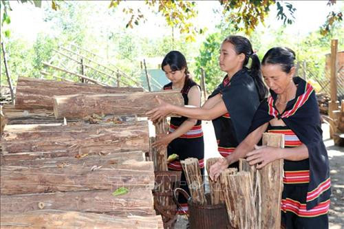 Củi hứa hôn, củi tình yêu của phụ nữ Gié Triêng ảnh 3 Củi hứa hôn, củi tình yêu của phụ nữ Gié Triêng ảnh 3
