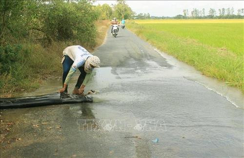 Nông dân huyện Trần Đề, Sóc Trăng đang tích cực bơm nước vào ruộng trước những cảnh báo về hạn mặn sắp tới. Ảnh: Chanh Đa-TTXVN Nông dân huyện Trần Đề, Sóc Trăng đang tích cực bơm nước vào ruộng trước những cảnh báo về hạn mặn sắp tới. Ảnh: Chanh Đa-TTXVN