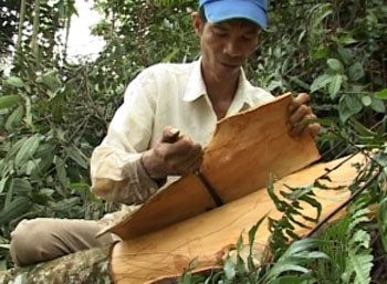 Ảnh minh họa Ảnh minh họa