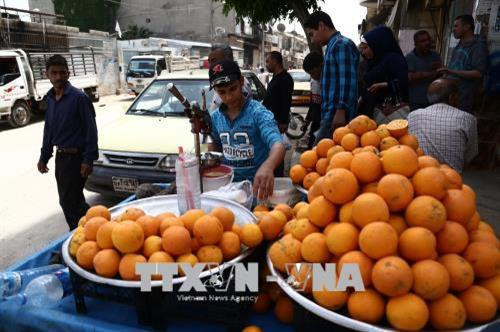 Cam được bày bán trên đường phố ở Afrin, Syria . Ảnh: AFP/ TTXVN Cam được bày bán trên đường phố ở Afrin, Syria . Ảnh: AFP/ TTXVN