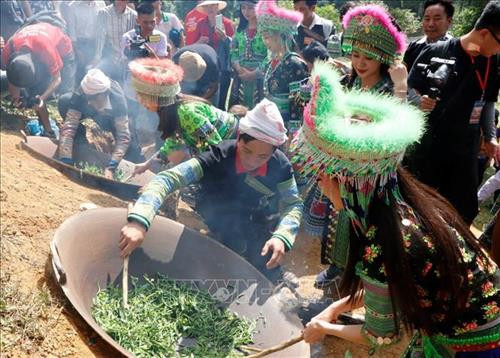 Sau khi hái chè xong, người thực hiện sao chè trong các chảo lớn. Ảnh: Tuấn Anh-TTXVN