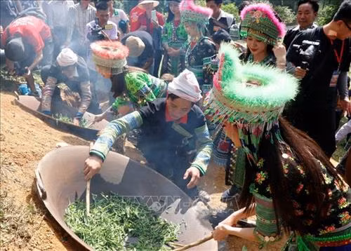 Sau khi hái chè xong, người thực hiện sao chè trong các chảo lớn. Ảnh: Tuấn Anh-TTXVN