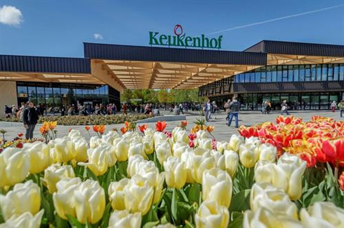 Keukenhof – công viên của mùa xuân Keukenhof – công viên của mùa xuân