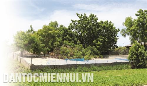 Khu chuồng nuôi dông được thiết kế với nhiều đặc điểm giống với môi trường tự nhiên để dông dễ phát triển. Ảnh: Nguyễn Thành Khu chuồng nuôi dông được thiết kế với nhiều đặc điểm giống với môi trường tự nhiên để dông dễ phát triển. Ảnh: Nguyễn Thành