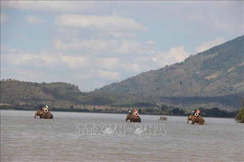 Du khách cưỡi voi dạo Hồ Lắk. Ảnh: Nguyễn Tuấn Anh – TTXVN Du khách cưỡi voi dạo Hồ Lắk. Ảnh: Nguyễn Tuấn Anh – TTXVN