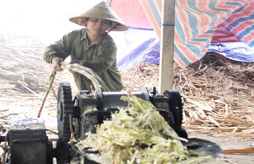 Gia đình chị Trương Thị Hiền và anh Trương Văn Hòa là hai trong số nhiều hộ dân của xóm 13, xã Nghĩa Hưng, huyện Nghĩa Đàn được vay 30 triệu đồng vốn ưu đãi để mua máy móc, xây dựng lò ép mía nấu mật, giải quyết việc làm cho 5 lao động với thu nhập 200 nghìn đồng/người/ngày Gia đình chị Trương Thị Hiền và anh Trương Văn Hòa là hai trong số nhiều hộ dân của xóm 13, xã Nghĩa Hưng, huyện Nghĩa Đàn được vay 30 triệu đồng vốn ưu đãi để mua máy móc, xây dựng lò ép mía nấu mật, giải quyết việc làm cho 5 lao động với thu nhập 200 nghìn đồng/người/ngày