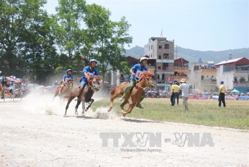 Hấp dẫn Giải đua "Vó ngựa cao nguyên trắng" ảnh 4