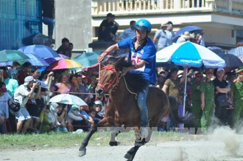 Hấp dẫn Giải đua "Vó ngựa cao nguyên trắng" ảnh 2