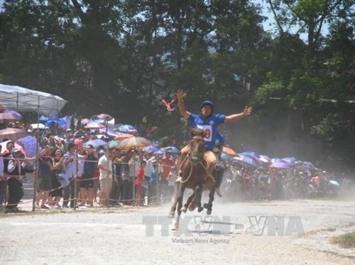 Hấp dẫn Giải đua "Vó ngựa cao nguyên trắng" ảnh 5