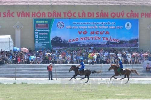 Hấp dẫn Giải đua "Vó ngựa cao nguyên trắng" ảnh 1