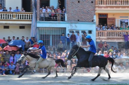 Hấp dẫn Giải đua "Vó ngựa cao nguyên trắng" ảnh 3