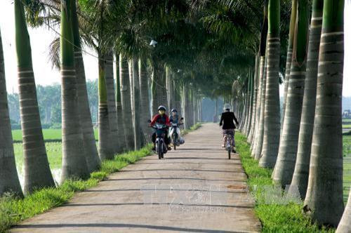 Hệ thống đường giao thông nông thôn được mở rộng, tạo thuận lợi cho việc đi lại của người dân. Ảnh: Bùi Như Trường Giang - TTXVN Hệ thống đường giao thông nông thôn được mở rộng, tạo thuận lợi cho việc đi lại của người dân. Ảnh: Bùi Như Trường Giang - TTXVN