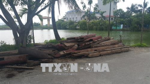 Các cấu kiện gỗ hạ giải từ đình cũ vứt ngổn ngang ngoài đường. Ảnh: Đinh Thuận - TTXVN Các cấu kiện gỗ hạ giải từ đình cũ vứt ngổn ngang ngoài đường. Ảnh: Đinh Thuận - TTXVN