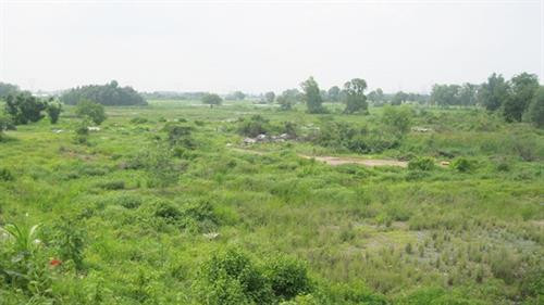 Hàng ngàn hécta đất tại huyện Củ Chi chưa được sử dụng hiệu quả trong nhiều năm qua. Ảnh: sggp.org.vn Hàng ngàn hécta đất tại huyện Củ Chi chưa được sử dụng hiệu quả trong nhiều năm qua. Ảnh: sggp.org.vn