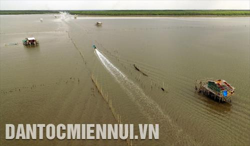 Vùng bãi bồi ven biển thuộc huyện An Biên (Kiên Giang) rộng trên 10.000ha, thuận lợi phát triển nuôi nhuyễn thể như: nghêu, vẹm xanh, sò huyết...