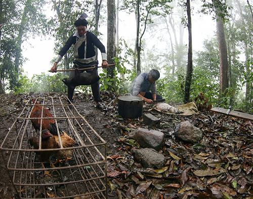 Lễ cúng rừng của người Dao đỏ ảnh 3 Lễ cúng rừng của người Dao đỏ ảnh 3