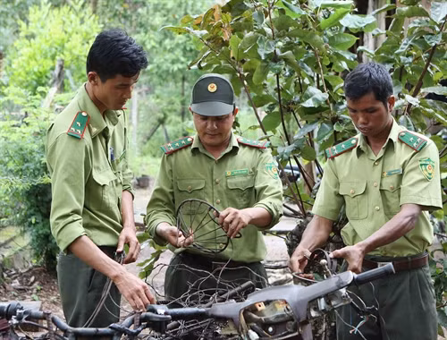 Kiểm lâm tịch thu nhiều loại bẫy thú có tính sát thương cao. Kiểm lâm tịch thu nhiều loại bẫy thú có tính sát thương cao.