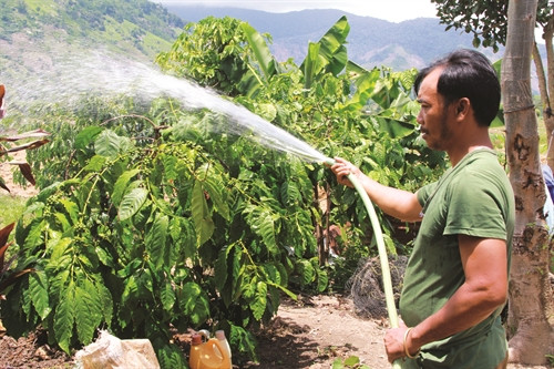 Anh Y Van NIê, một trong những tấm gươgn vươn lên thoát nghèo của xã Yang Mao, huyện Krông Bông