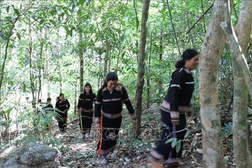 Dân làng Ograng, xã Ia Pếch, huyện Ia Grai gùi nước về làm lễ cúng Rừng. Ảnh: Hồng Điệp - TTXVN Dân làng Ograng, xã Ia Pếch, huyện Ia Grai gùi nước về làm lễ cúng Rừng. Ảnh: Hồng Điệp - TTXVN